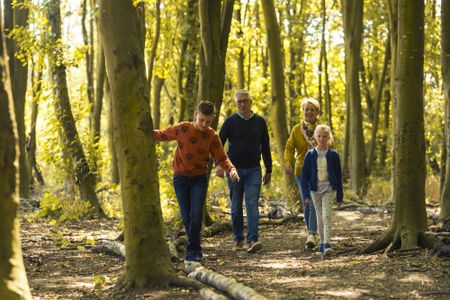 Wandelende mensen in de natuur van Almere