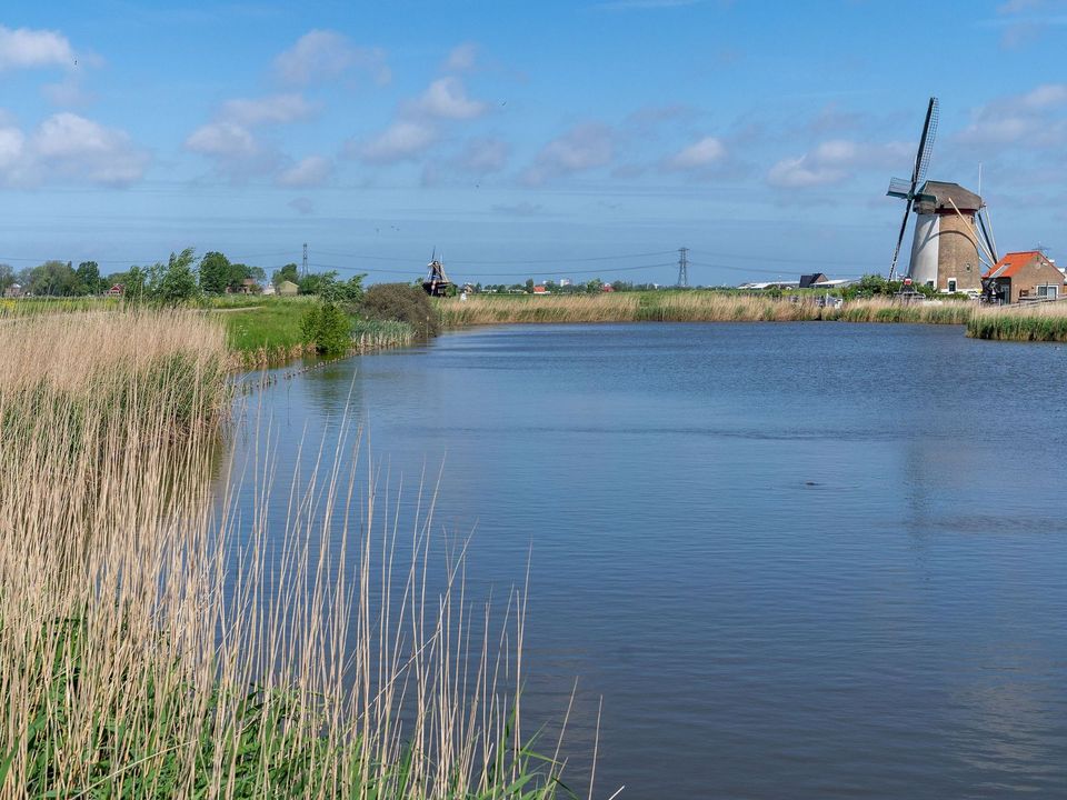 Natuurgebied en een molen aan het water vlakbij Delft