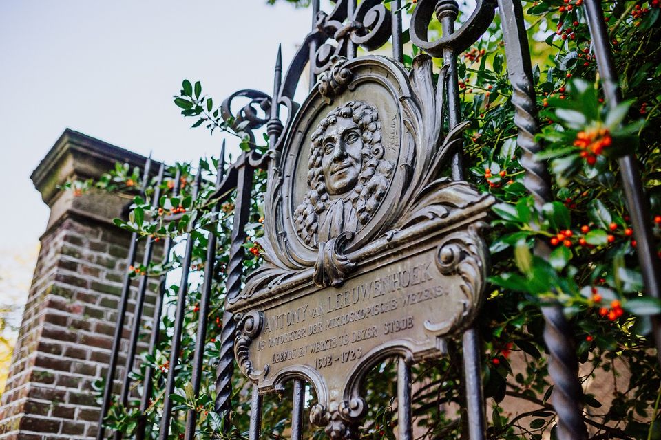 Medaillon Antoni van Leeuwenhoek in Delft