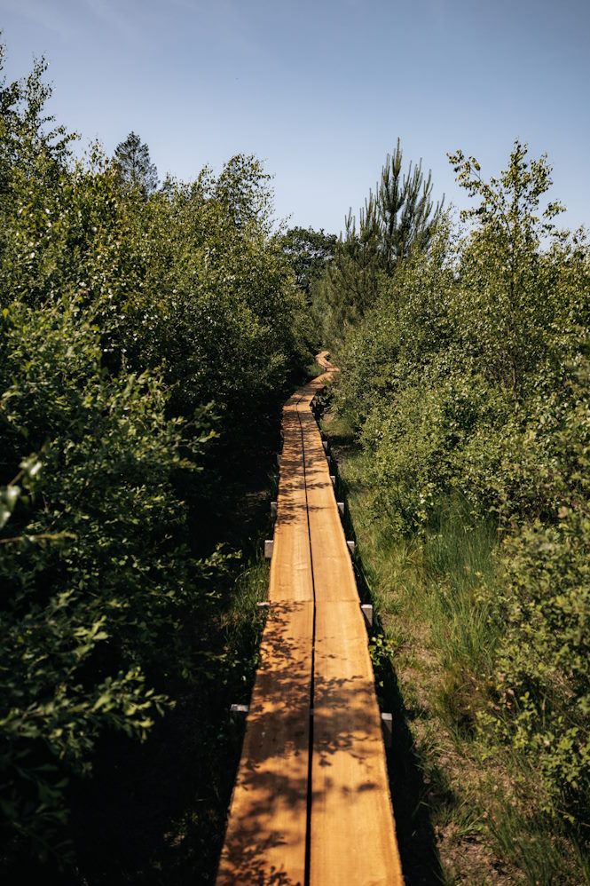 Bretterweg in Drenthe