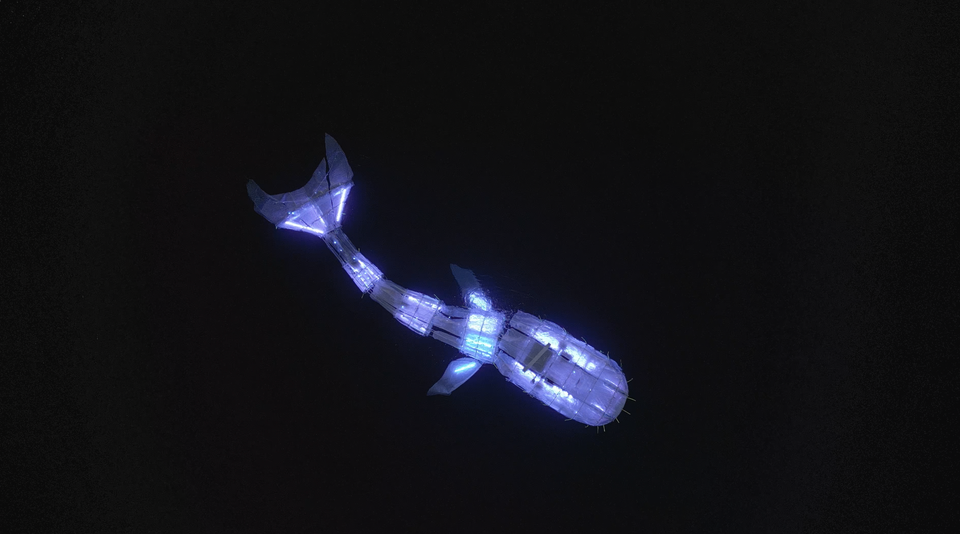 Een blauwverlichte walvis in het water bij nacht als onderdeel van een lichtvoorstelling.