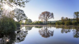 Open dag eendenkooi in Het Pompveld