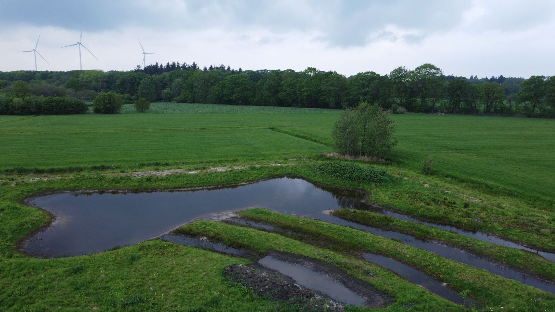 Poel en moerasarmen bij Batonia Beekenbos voorjaar 2026