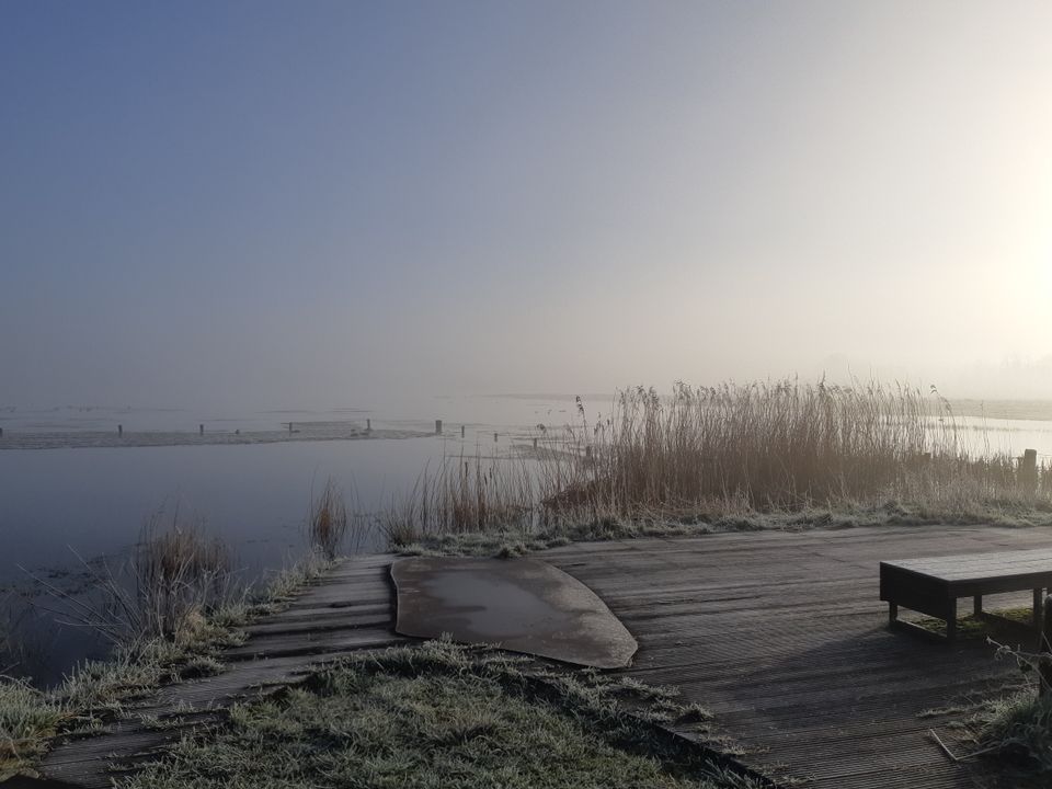 Vogelrijk natuurgebied Reusel