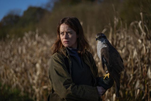 Film - H Is For Hawk