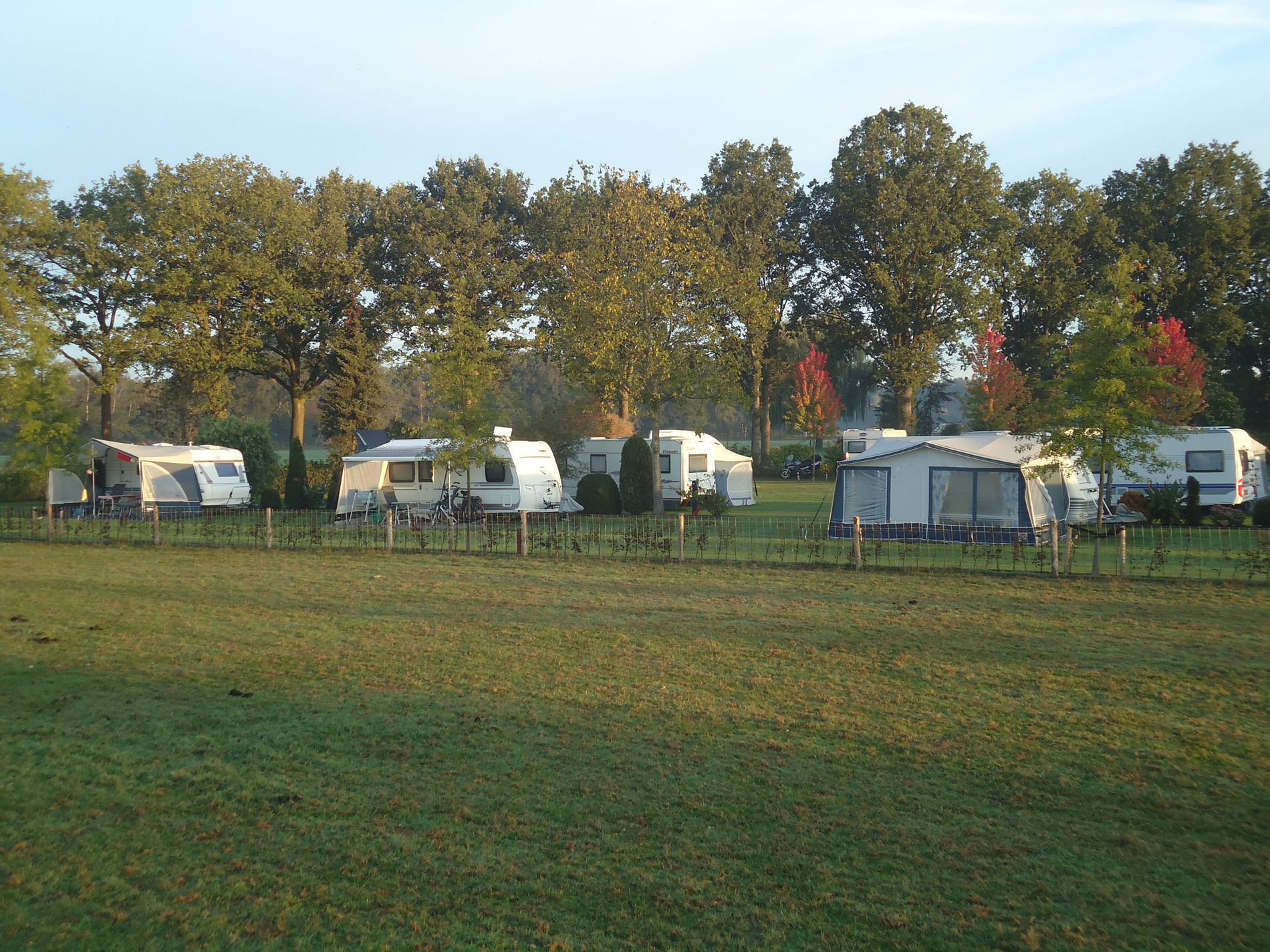 Een groen veld met op de achtergrond grote bomen en diverse caravans.