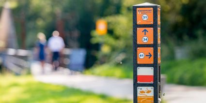 Wandelroutenetwerk paaltje knooppunten