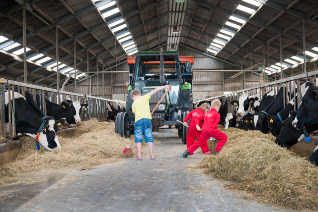 FarmCamps Op Flakkee