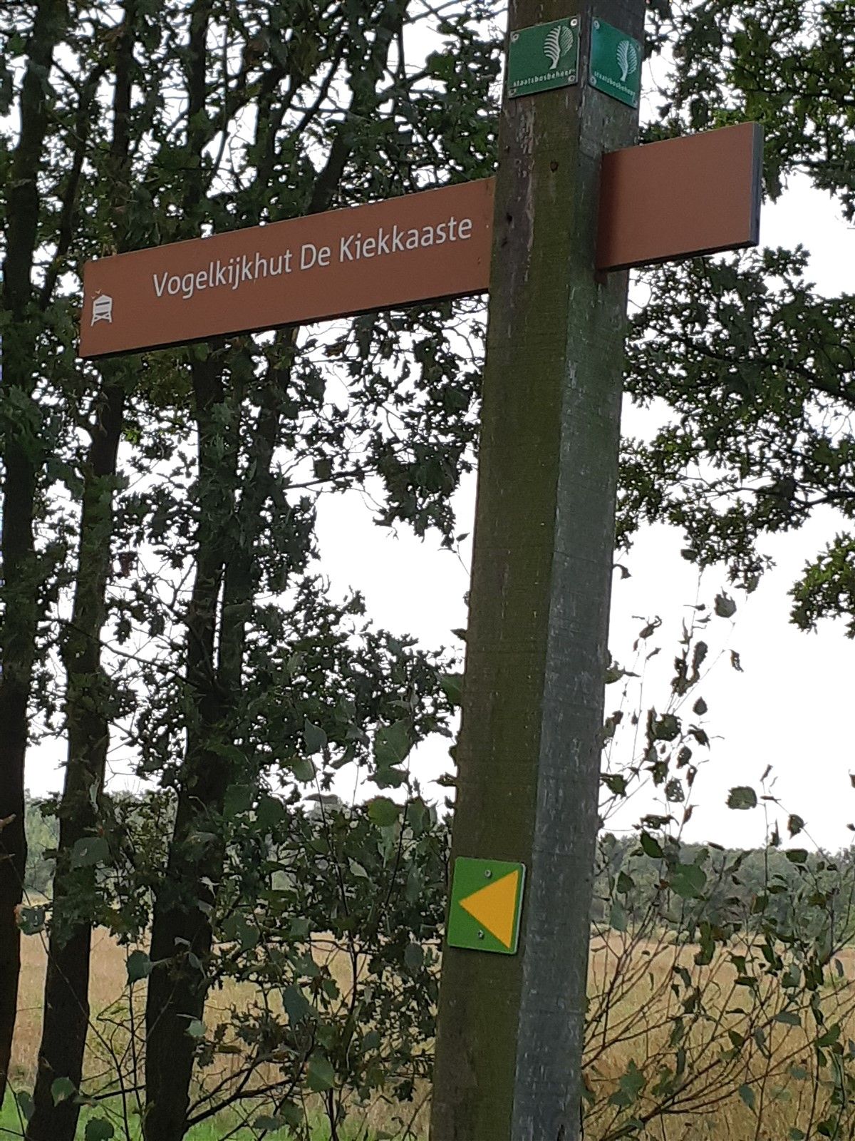 Natuurgebied de Moeren