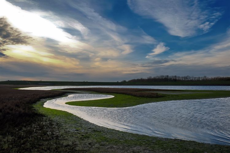 Natuurgebied de Schelphoek