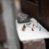 Decemberroute Miniature People