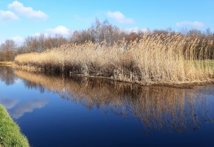 Stream restoration experience day