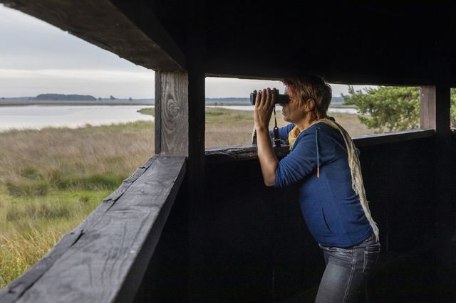 Eine Frau schaut mit ihrem Fernglas aus einer Vogelbeobachtungshütte über das Naturschutzgebiet in Drenthe.