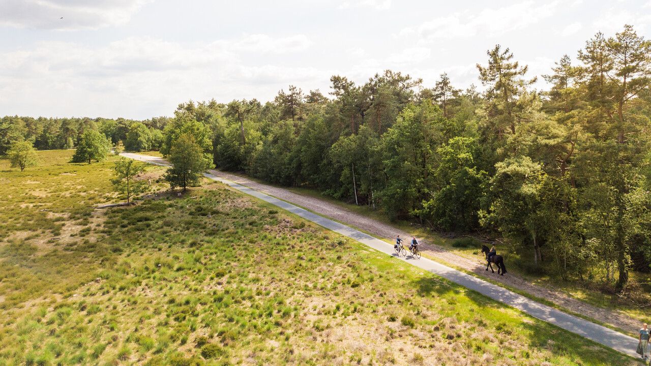 Loonse en Drunense Duinen