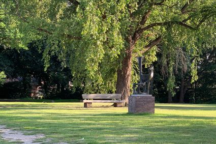 Tuinpad Park  - Houten bank