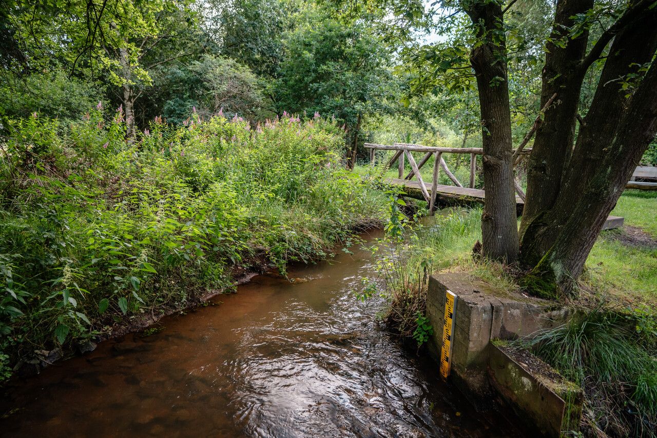 Houten bruggetje over water in Mullemer Bemden