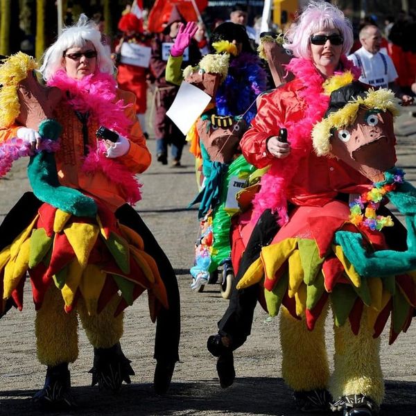 carnavallers in olliedonk tijdens de optocht