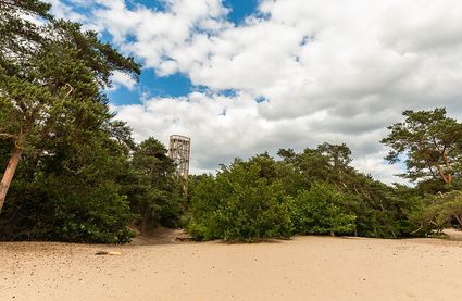 Uitkijktoren Herperduin