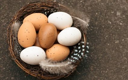 Paaseierenjacht bij Sparta'25