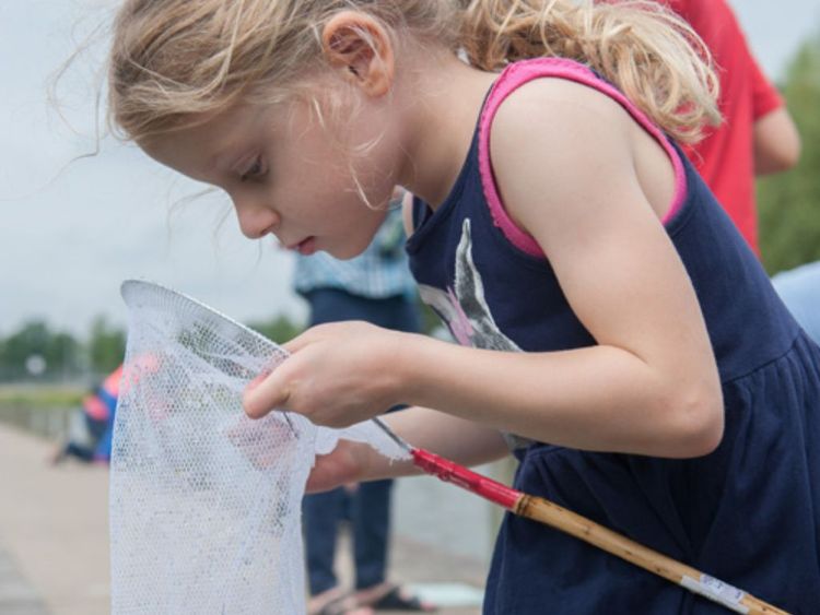Een meisje kijkt in haar schepnetje