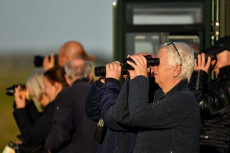 workshop fotografie Oostvaardersplassen