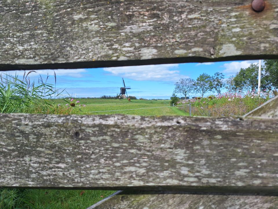 Pontje-Fietsrondje Aldegeaster Brekken