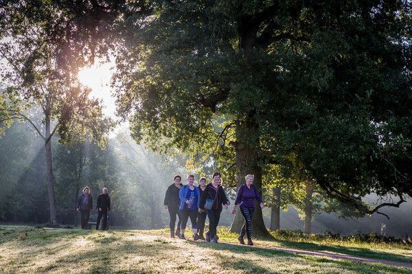 Mensen die wandelen door het bos