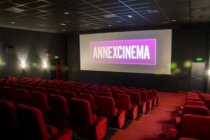 Bioscoopzaal van AnnexCinema in Woerden met comfortabele stoelen en groot filmscherm, moderne filmbeleving.