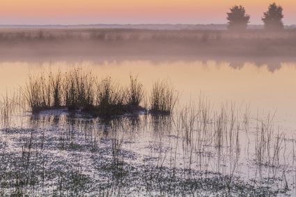 zonsondergang op het Dwingelderveld in Zuidwest-Drenthe