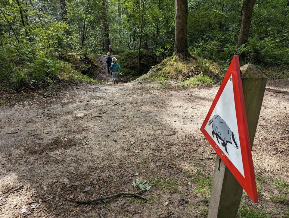 Twee kinderen rennen in het bos op het Dassenpad in Gaasterland