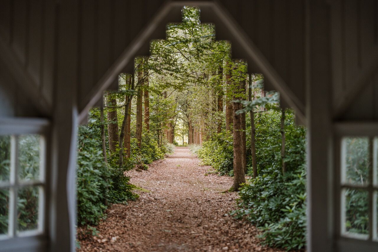Sterrebos gezien vanuit de kapel