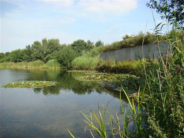 Molenheide visvijver Reusel