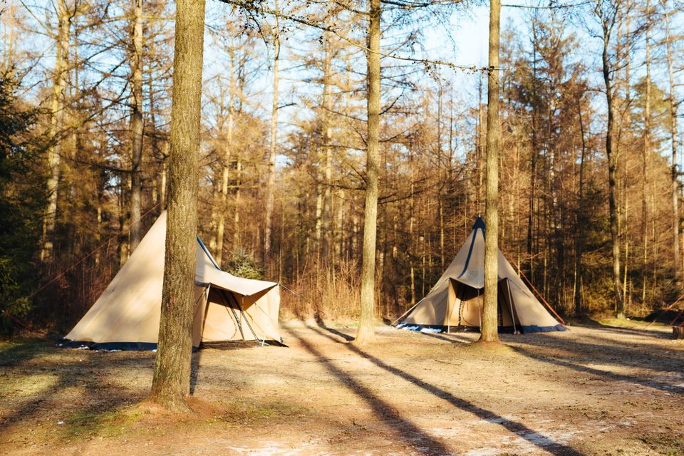 Winterkamperen met tipitenten in het bos.
