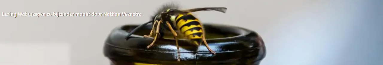 Een wesp op een bierflesje