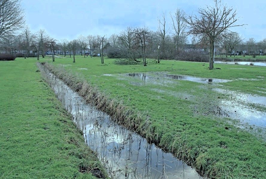 Publiekswandeling Natuurtuin De Bimd