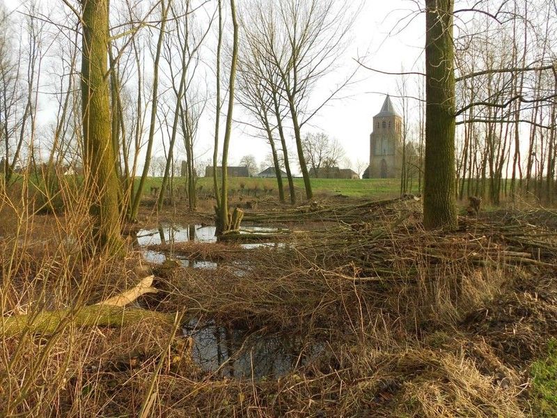 Klompenpad Rijnstrangenpad