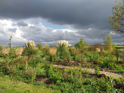 Natuurtuin familie Lohman