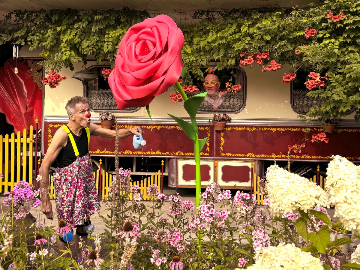 voor wie gaan we plukken?