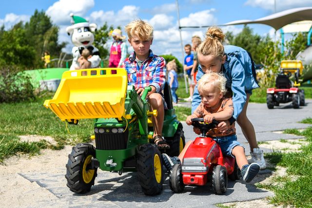 Drentse koe Ruinerwold