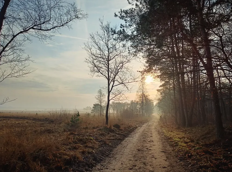 Wandelclub Ede