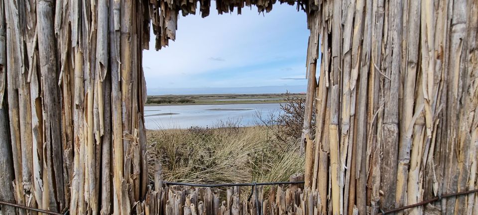 Doorkijk vogeluitkijkpunt Kroonspolders