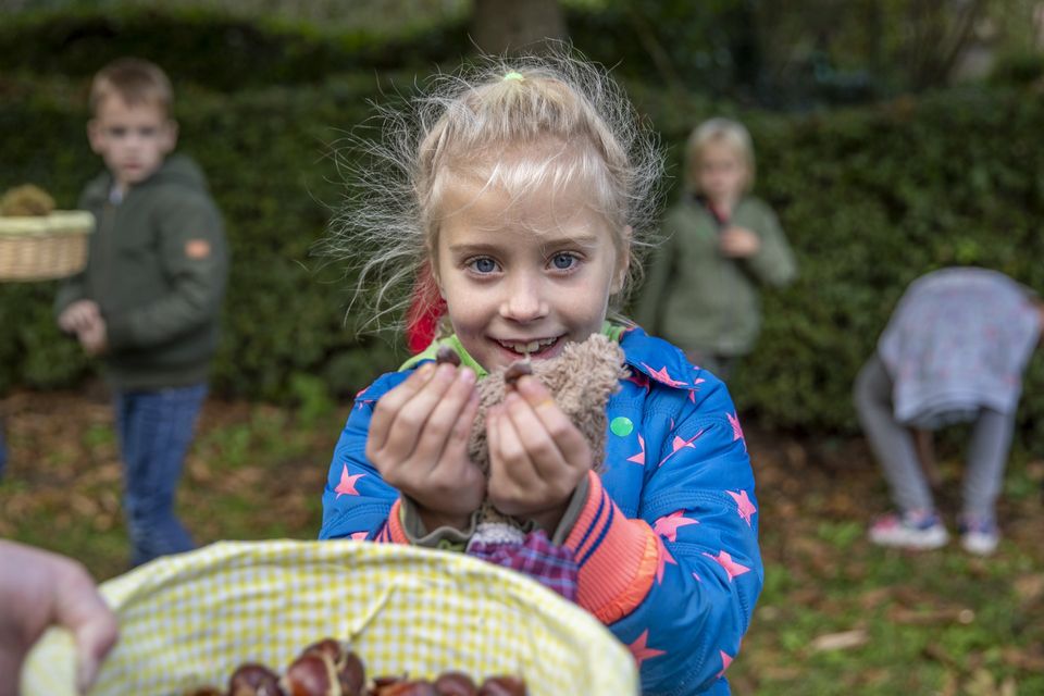 Kinderen zoeken en verzamelen kastanjes tijdens een natuuractiviteit op Landgoed Bredius in Woerden, Groene Hart. Meisje toont gevonden kastanjes in een groene omgeving met spelende kinderen tijdens een educatieve buitenactiviteit in de herfst.