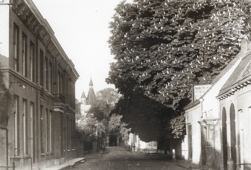 De Muntstraat rond 1910. De woningen Muntstraat 21 en 23, onderdeel van een huizencomplex uit 1844-1846, zijn tijdens Open Monumentendag te bezichtigen. Rechts stonden de oude stal, oranjerie en tuinpoort van het notarishuis aan de Muntstraat.