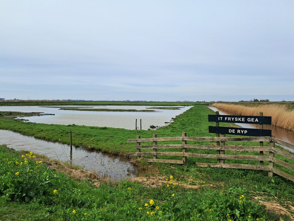 Eetbaar Fryslân: rondje Friese meren