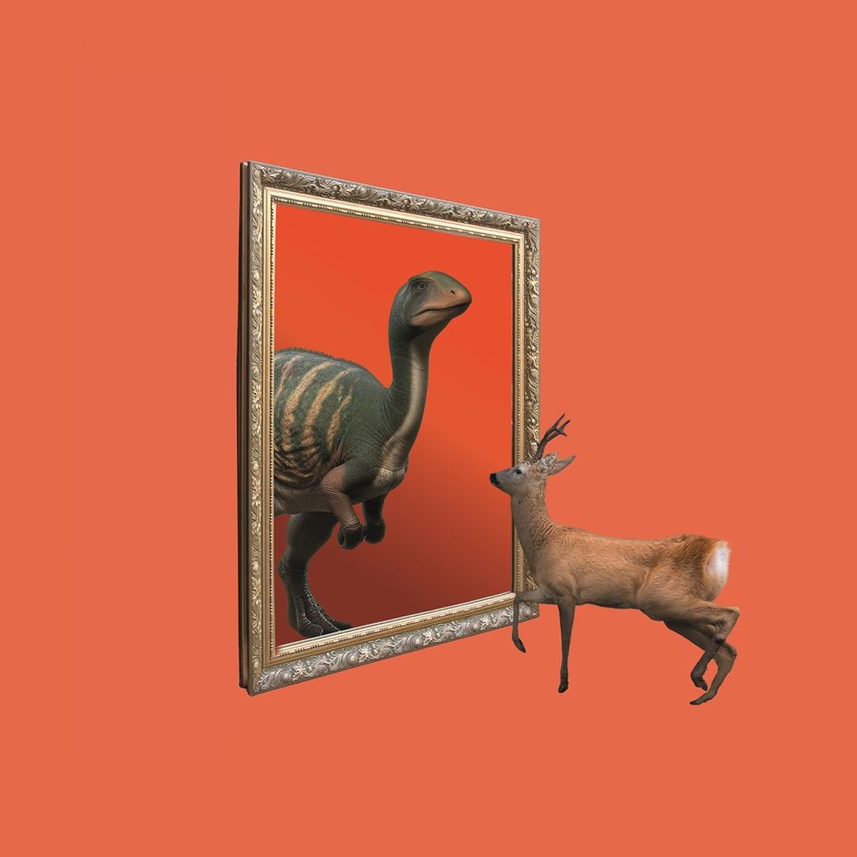 Een ree kijkt in de spiegel en ziet een Thescelosaurus