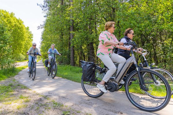 Fietsers in de Kempen