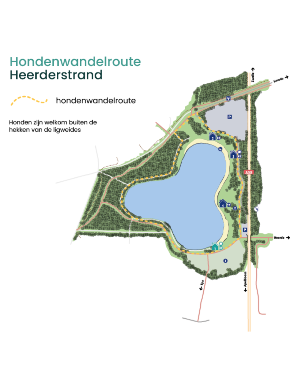 Honden zomerroute op Heerderstrand