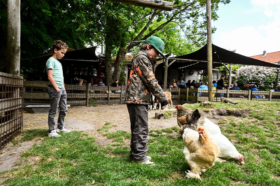 Kinderboederij Du Midi delftse hout