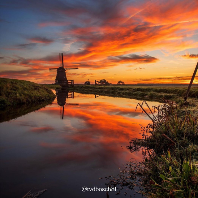 Molen met oranje lucht