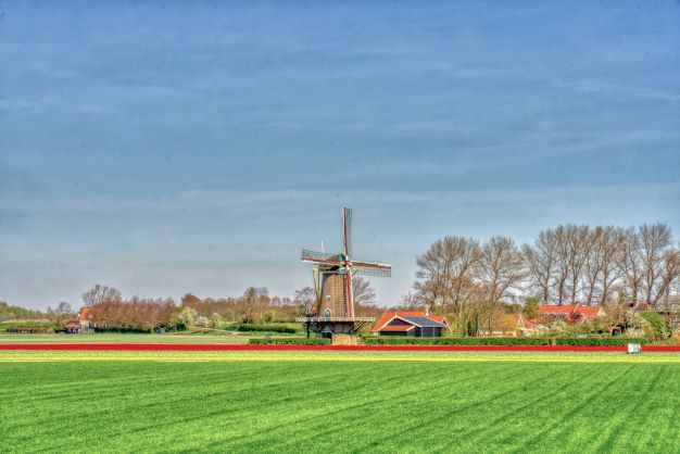 Molen Zonnemaire